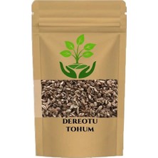 Tan Organik Markalı Dereotu Tohumu (Anethum Graveolens)40 gr