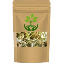Tan Organik Markalı Ihlamur Yaprak Çiçek 50GR