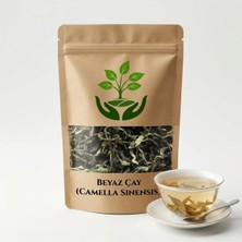 Tan Organik Markalı Beyaz Çay (Camellia Sinensis) 100GR
