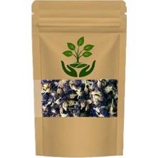 Tan Organik Markalı Mavi Kantaron Kurusu 90GR