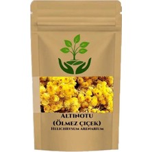 Tan Organik Markalı Altın Otu Bitki Çayı Paket 100GR