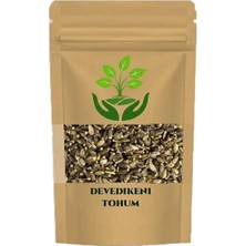 Tan Organik Markalı Deve Dikeni Tohumu 25GR