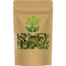 Tan Organik Markalı Moringa 75GR