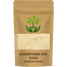 Tan Organik Markalı Karnıyarık Otu Tohumu Toz 40GR