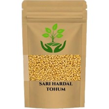 Tan Organik Markalı Hardal Tohumu Sarı 25GR
