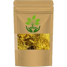 Tan Organik Markalı Mürver Çiçeği (Sambucus Nigra L) 100GR