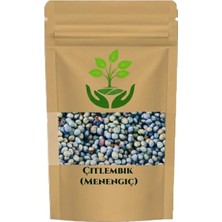 Tan Organik Markalı Çitlembik Menengiç-Çitlenbik 750GR