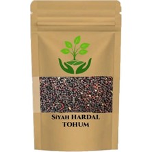 Tan Organik Markalı Hardal Tohumu Siyah 500GR