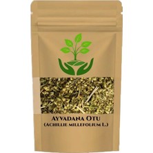 Tan Organik Markalı Ayvadana Otu (Civanperçemi) 1 kg