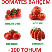 Karahasanoğlu Tarım Toplam 100 Domates Tohumu Salkım Çeri Domates Köy Domates Sofralı