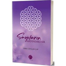 TeknoKapsül Sayıların Ardındaki Sır