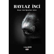 TeknoKapsül Haylaz Inci