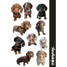 Minnymy Funny Dog Collection Sticker, Çıkartma, Ajanda, Günlük, Planlayıcı, Bullet Journal , Scrapbook