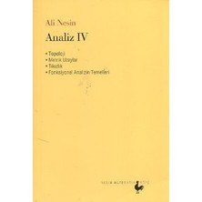 Nesin Matematik Köyü Analiz 4