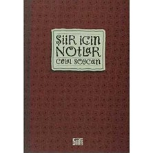 TeknoKapsül Şiir Için Notlar