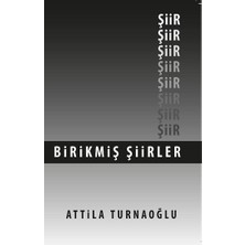 İmgenin Çocukları Birikmiş Şiirler