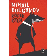 Bilgi Yayınevi Köpek Kalbi