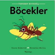 Domingo Yayınevi Böcekler- Tepeden Kuyruğa