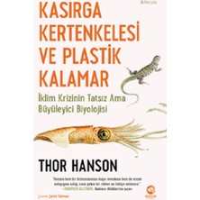 Nova Kitap Kasırga Kertenkelesi ve Plastik Kalamar