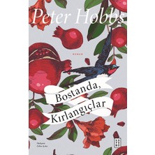 Ketebe Yayınları Bostanda, Kırlangıçlar