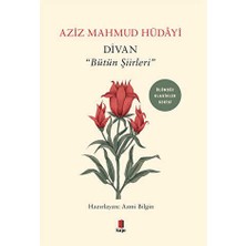 TeknoKapsül Divan - "bütün Şiirleri"