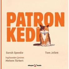 Okuyan Koala Patron Kedi