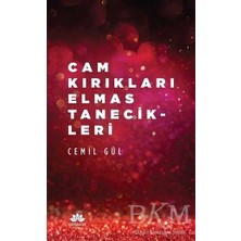 TeknoKapsül Cam Kırıkları Elmas Tanecikleri