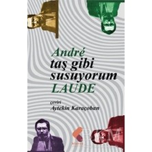 TeknoKapsül Taş Gibi Susuyorum
