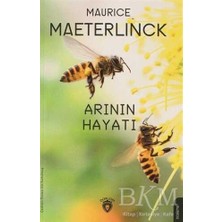 TeknoKapsül Arının Hayatı
