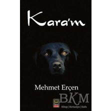 TeknoKapsül Kara`m