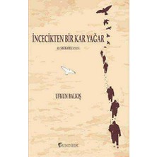 TeknoKapsül Incecikten Bir Kar Yağar
