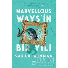 TeknoKapsül Marvellous Ways’in Bir Yılı