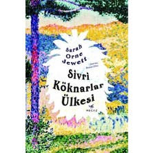 TeknoKapsül Sivri Köknarlar Ülkesi