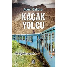 TeknoKapsül Kaçak Yolcu