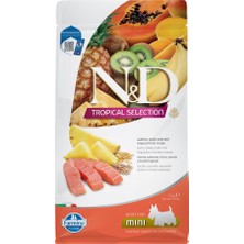 N&d Tropical Selection Somonlu ve Tropikal Meyveli Mini Irk Yetişkin Köpek Maması 1,5kg