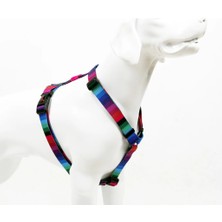Tailpetz Harness Wave Orta Irk Köpek Göğüs Tasması 42-69CM [m]