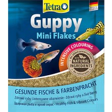 Tetra Guppy Mini Flakes Lepistes Balığı Için Pul Balık Yemi 12GR