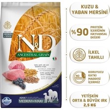 N&d Ancestral Kuzu Etli ve Yaban Mersinli Orta ve Büyük Irk Ata Tahıllı Yetişkin Köpek Maması 2,5kg