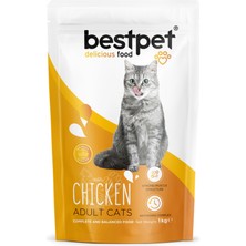 Bestpet Tavuk Etli Yetişkin Kedi Maması 1kg