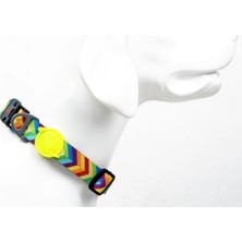 Tailpetz Rainbow Köpek Boyun Tasması [l]