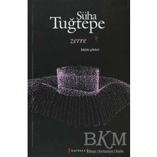 TeknoKapsül Zerre