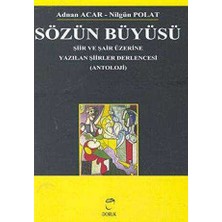 TeknoKapsül Sözün Büyüsü Şiir ve Şair Üzerine Yazılan Şiirler Derlencesi