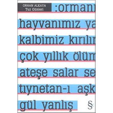 TeknoKapsül Tuz Günleri