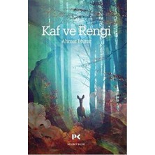 TeknoKapsül Kaf ve Rengi