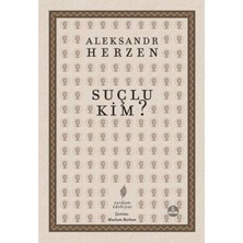 TeknoKapsül Suçlu Kim?