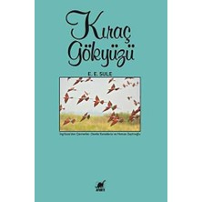 TeknoKapsül Kıraç Gökyüzü