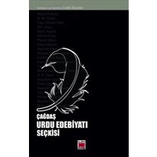 TeknoKapsül Çağdaş Urdu Edebiyatı Seçkisi