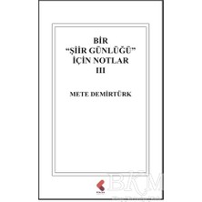 TeknoKapsül Bir "şiir Günlüğü" Için Notlar 3