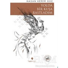 TeknoKapsül Yolda Bir Kuşa Rastladım