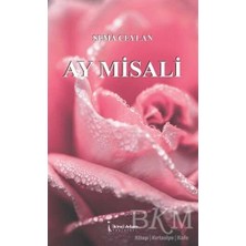 TeknoKapsül Ay Misali